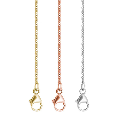 2022 Silver Chain Launch